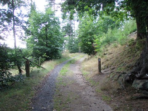Foto 66